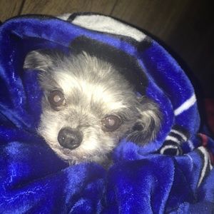 Meet your Posher, Lori